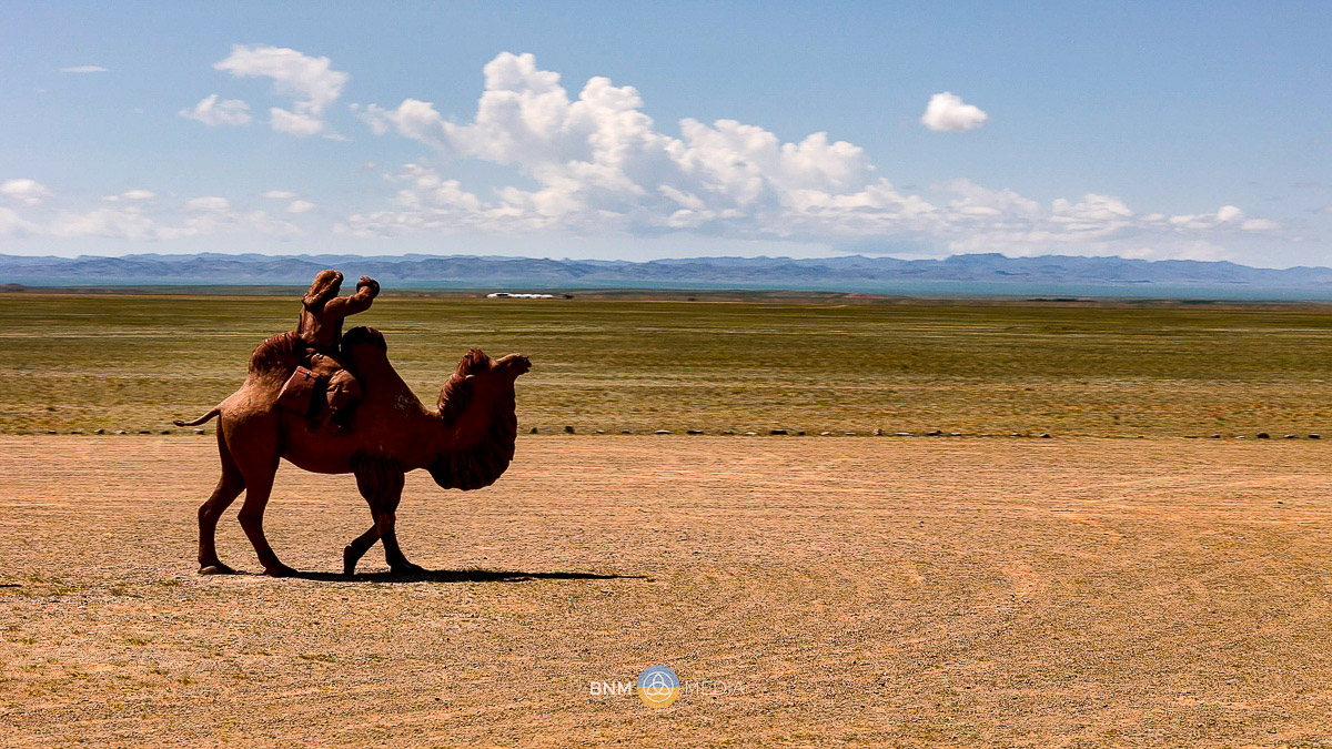 Camel 9